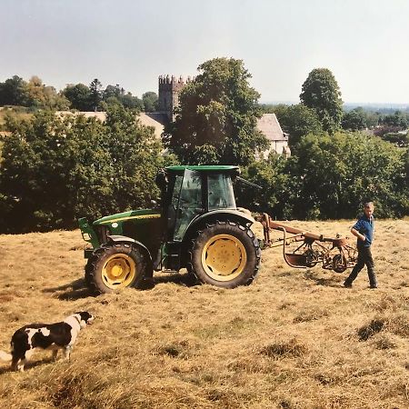 Carey'S Bar & Farmhouse Kilkenny Border Oldleighlin Dış mekan fotoğraf