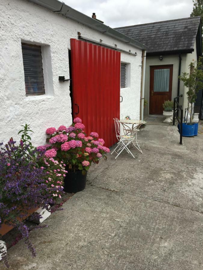 Carey'S Bar & Farmhouse Kilkenny Border Oldleighlin Dış mekan fotoğraf